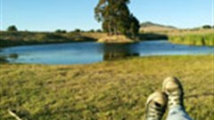 A mixed bag at Rock The River