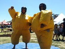 A mixed bag at Rock The River