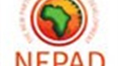 NEPAD on the ground