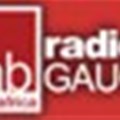 RadioGauge launches radio advertising effectiveness research study