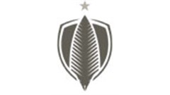 Press freedom as the ANC sees it