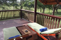 View the wildlife in comfort.