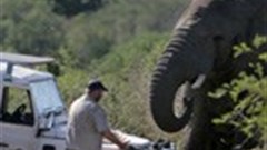 Brian Berkman pays tribute to Lawrence Anthony