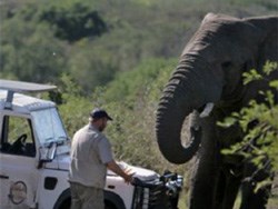 Brian Berkman pays tribute to Lawrence Anthony