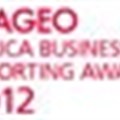 Entries open for Africa business reporting awards