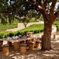 Take a creative wine safari