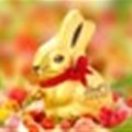 Lindt helps save the Riverine Rabbit