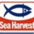 Sea Harvest, Findus promise shake-up