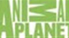 Animal Planet celebrates Africa Month this May