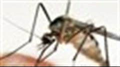 Yale Nobel laureate creates compound that halts growth of malaria parasite