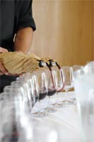 12 newcomers to Nederburg Auction line-up