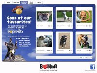 Bobtail and 34 launch top dog search