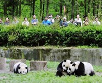 Can nature's beauty lift citizens from poverty?