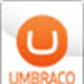 Bluegrass Digital achieves status as first African Certified Umbraco CMS Partner