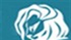 [Cannes Lions 2012] Creative Effectiveness, Media, Mobile & Outdoor Lions winners