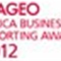 2012 Diageo Africa Business Reporting Award winners