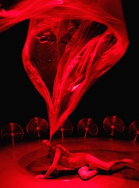 [GNAF] Vortex: a fight for life