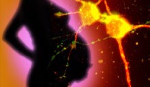 Illustration by Michael Helfenbein