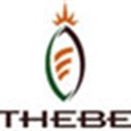 Thebe resigns from exhibition association