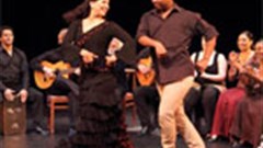 Intimate Peña Flamenca