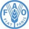 Access to water key for food security: FAO chief