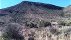 In search of fossils