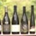 Nederburg Auction hosts Chenin Blanc Association debut
