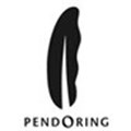 2012 Pendoring winners: Digital drought broken