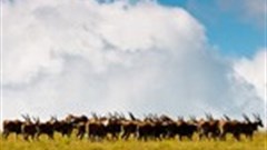 ZuluWaters - a force to be reckoned with