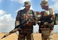 (Image: Wikimedia Commons)