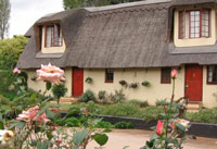 Granny Mouse appoints African Insignia Hotels