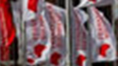 World's biggest book fair homes in on children's literature