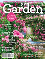 Shape and SA Garden/Tuin close; rumours of cutbacks at Indie