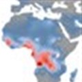 Sickle cell anaemia: maps and newborn estimates