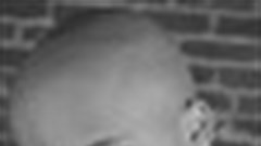 Nairobi Half Life with Mugambi Nthinga