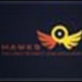Hawks probe R23m contract