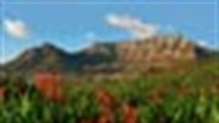 Official proclamation of New7Wonders of Nature in South Africa