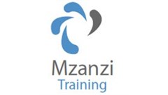 Social media fraud risks (Insights in 140 characters or less)