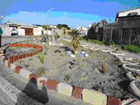 Garden projects brighten up waste ground in Cape Town