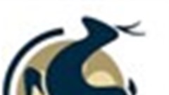 African Film Development Foundation calls for country represetatives