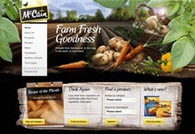 Fresh new look, ideas for McCain website