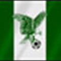 Super Eagles of Nigeria are new African champions