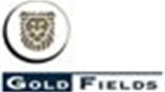 Gold Fields cuts marginal mines