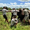 &Beyond translocate six white rhino to Okavango Delta