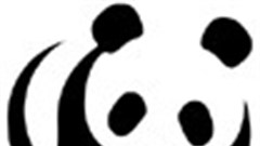 Planned expenditure on AMD and derelict mines falls significantly short