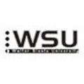 WSU gets court order to halt strike