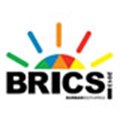 Partnerships in manufacturing vital for Brics success - Davies
