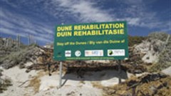 Public eye, green laws guide growth at Saldanha