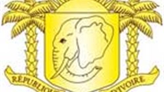 Cocoa plundered by Ivorian warlords