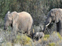 Photo by Marco Fitchet